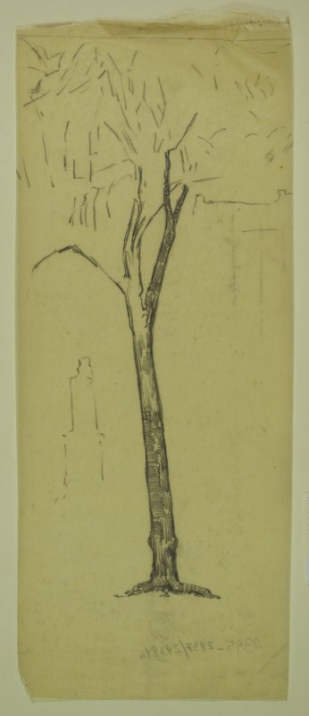 1917 ca. - Piazza Napoleone (lucido per albero al centro)